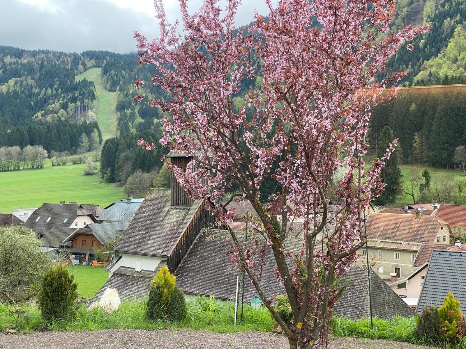 Ferienhaus Kramser Арнолдщайн Екстериор снимка
